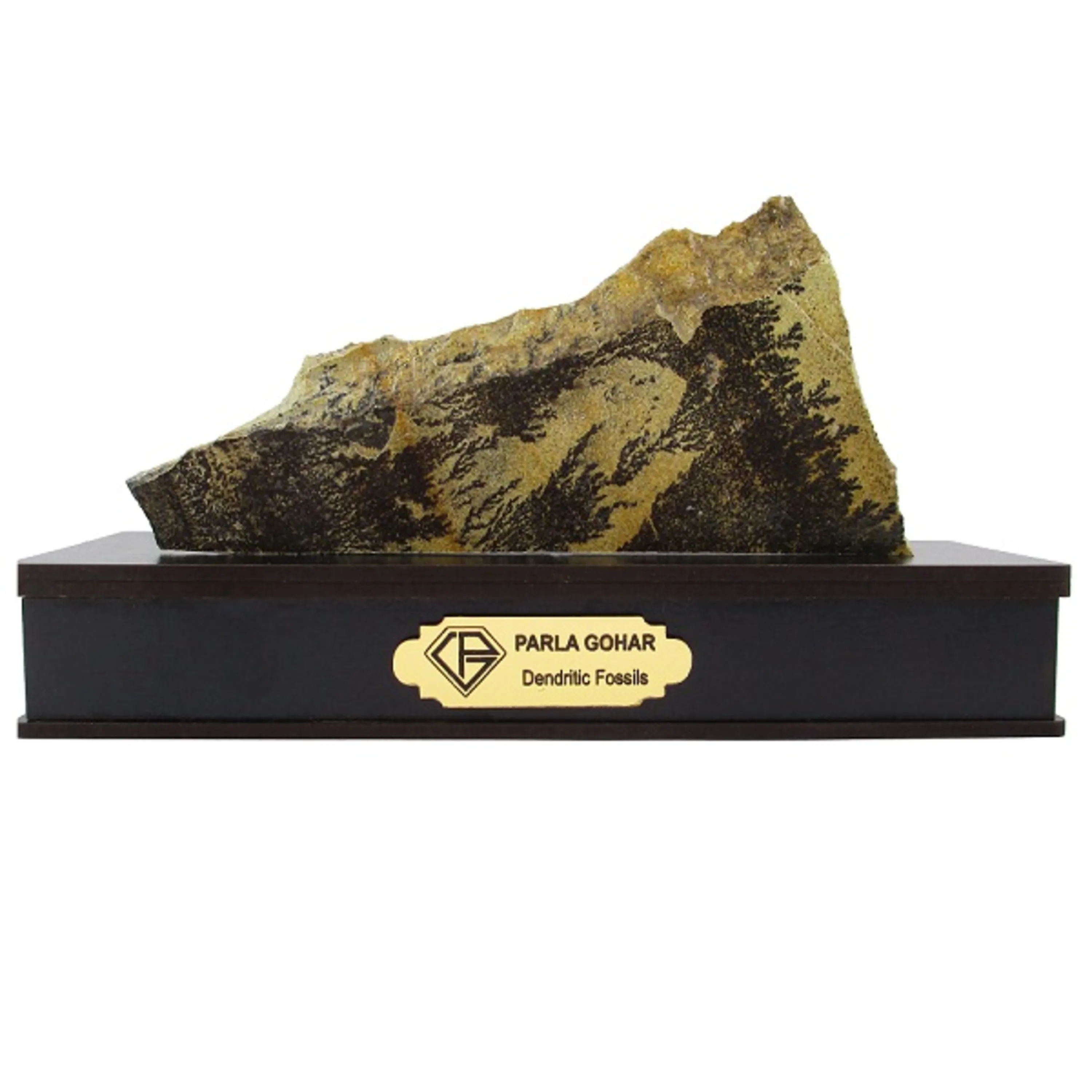 شجر راف کد 2361